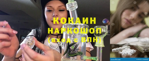 СК Алзамай