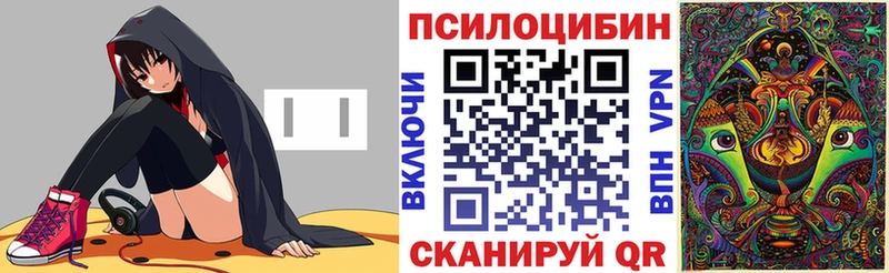 Псилоцибиновые грибы Cubensis  omg ССЫЛКА  Тверь 