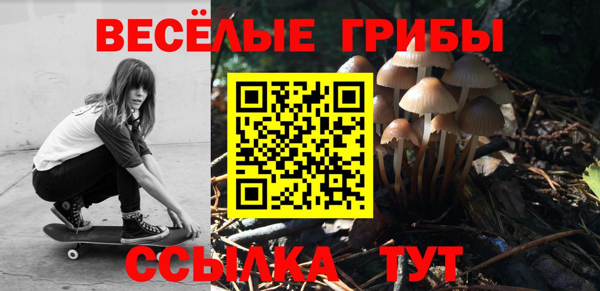 Псилоцибиновые грибы GOLDEN TEACHER  Вход с VPN  Галлюциногенные грибы мицелий  Тверь 