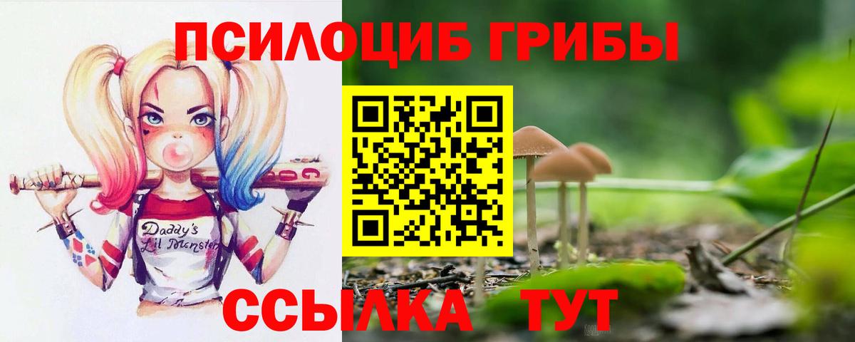 Псилоцибиновые грибы GOLDEN TEACHER Тверь